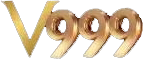 bdv999.com Logo